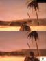 Bild 3 zu Spec Ops: The Line