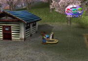 Action-Replay-Codes: Harvest Moon: A wonderful Life