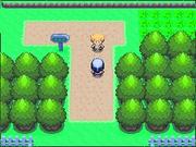 Top-Test Juli: Pokémon Diamant- und Perl-Edition