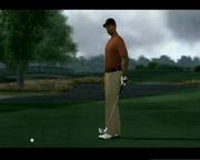 Tiger Woods PGA Tour 2008