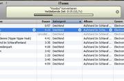 iTunes erledigt das Konvertieren der Songs auf den DSi rasch und zuverlässig.