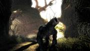 Risen Screenshots Xbox 360 (1)
