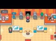 Pokémon Platin-Edition (22)
