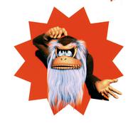 Donkey Kong Country SNES (5)