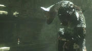 The Last Guardian (14)