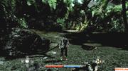 Risen - XBOX 360 (14)