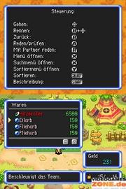 Pokémon Mystery Dungeon: Erkundungsteam Himmel (DS) (9)