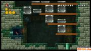 New Super Mario Bros. Wii (8)