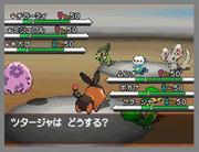 Pokémon Black and White (10)