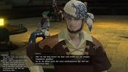 Die neuen Screenshots aus Final Fantasy 14 Online. 