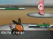 Pokémon Black & White
