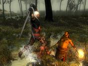 The Witcher (PC) (1)