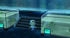 Animal Crossing: City Folk - Wii