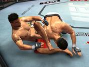 UFC 2009 Screenshot