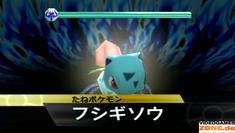 Screenshots aus Pokémon Scramble für WiiWare (1)
