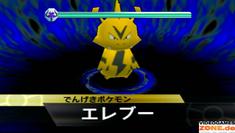 Screenshots aus Pokémon Scramble für WiiWare (1)