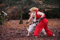 Street Fighter Legacy (1)