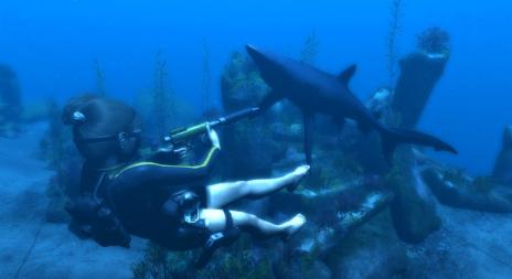 Bild 1 zu Tomb Raider Underworld