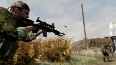 Bild 1 zu Armed Assault 2