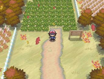 Bild 1 zu Pokémon Schwarz und Weiß