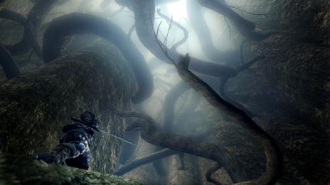 Bild 1 zu Dark Souls