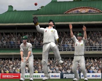 Bilderflut vom Cricket-Platz