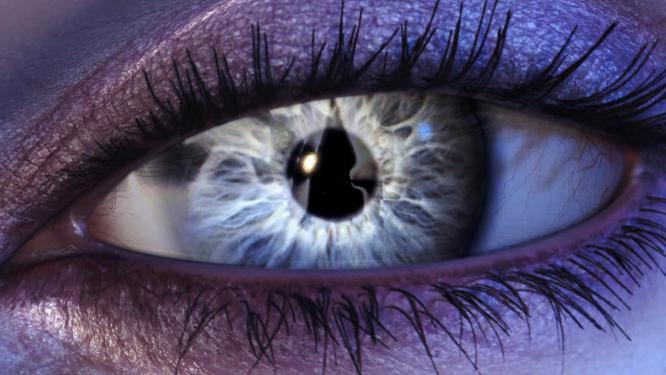 Wenn der Borderlands-Engel nicht weiterhilft, unterstützt Sie unsere Lösung.