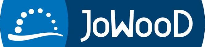 Jowood steckt in schwerwiegenden finanziellen Schwierigkeiten. Ein Hoffnungsträger für die nahe Zukunft ist Arcania: Gothic 4. 