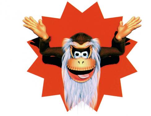 Donkey Kong Country SNES (2)