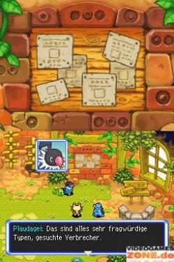 Pokémon Mystery Dungeon: Erkundungsteam Himmel (DS) (8)