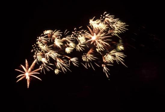 Happy New Year 2011! - Videogameszone wünscht allen Lesern ein frohes neues Jahr 2011