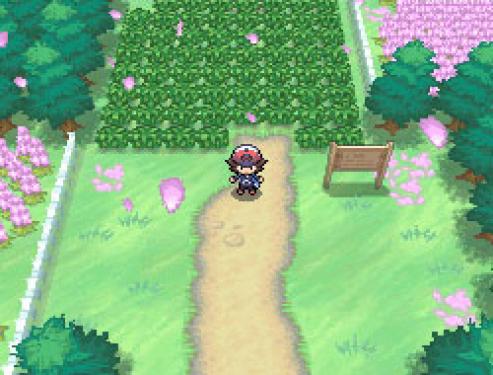 Auf dieser Seite unserer Pokémon Schwarz und Weiß Komplettlösung liefern wir euch Tipps zur Pokémonliga.