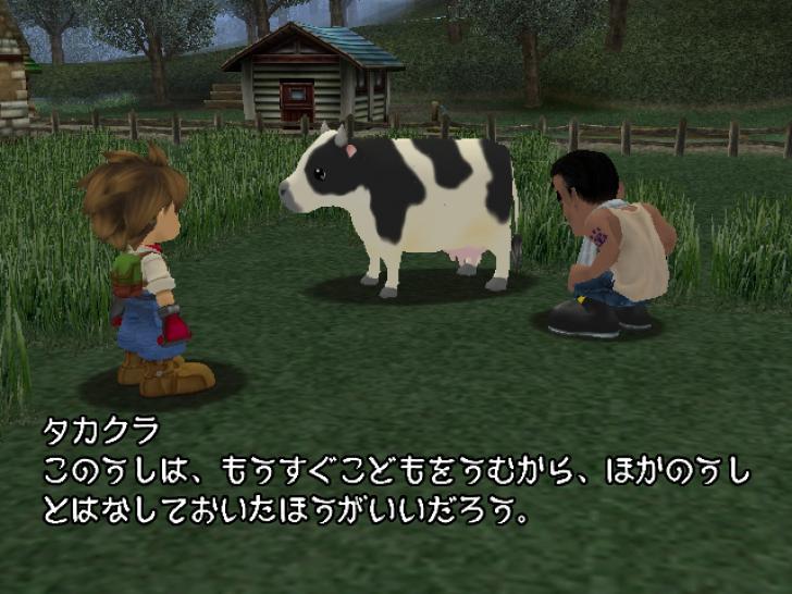 [04/02/04] Verlinkt ihr die GameCube-Version mit dem GBA-Titel erhaltet ihr besondere Goodies.