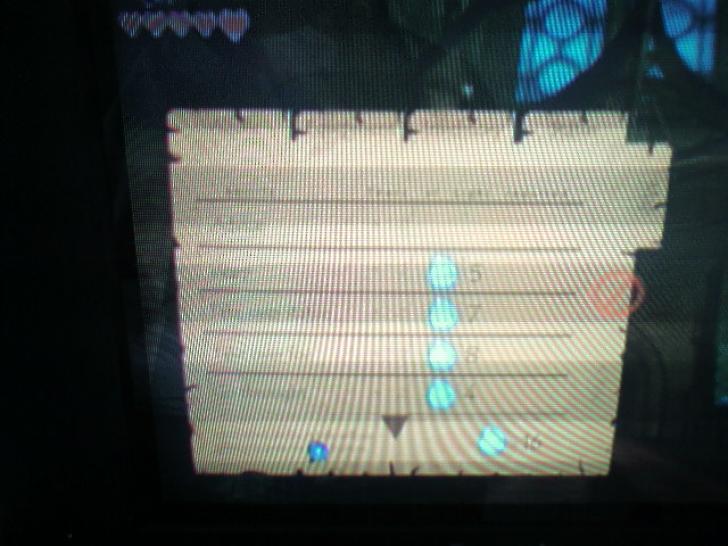 [01/02/10] Wii Zelda: Auf dem Fernseher könnte man denken, die Wii Zelda Screenshots seien echt. (8)