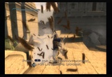 R&uuml;ckkehr eines Klassikers: Exklusive Videos zu Prince of Persia