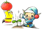 Harvest Moon A Wonderful Life