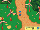 Harvest Moon