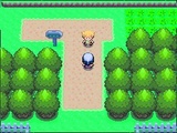 Start der großen Pokémon-Woche: 11 exklusive Bilder aus Diamant & Perle