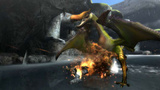 Monster Hunter 3: Unsere Wii-Vorschau zu Monster Hunter tri