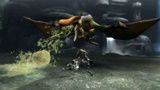 Neue Screenshots und Artworks zu Monster Hunter 3 für Wii