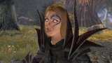 Das Interface von Divinity 2