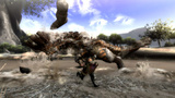 Screenshot-Update zu Monster Hunter 3 für Wii