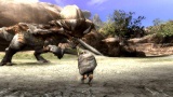 Monster Hunter 3 für Wii: Preise für Online-Gaming bekannt!