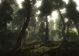 Risen-Screenshots: Dicker Bildernachschub zum RPG