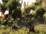 Risen: Release-Termin des Rollenspiels für Xbox 360 enthüllt