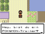 Pokémon Heart Gold & Soul Silver: Vorschau zu den DS-Remakes