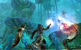 44 Millionen gehackte MMO-Konten aufgetaucht