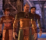 Dragon Age: Origins: Tutorial-Video erklärt das Journal
