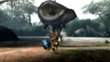 Monster Hunter 3: Neue Screenshots zur Wii-Monsterhatz