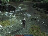 Risen Komplettlösung für Xbox 360: So schafft ihr alle Haupt- und Neben-Quests!